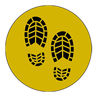 Pasos Perdidos – "El Camino de las Ideas"